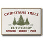 Christmas Farm Sign I - Floater Framed Canvas Print