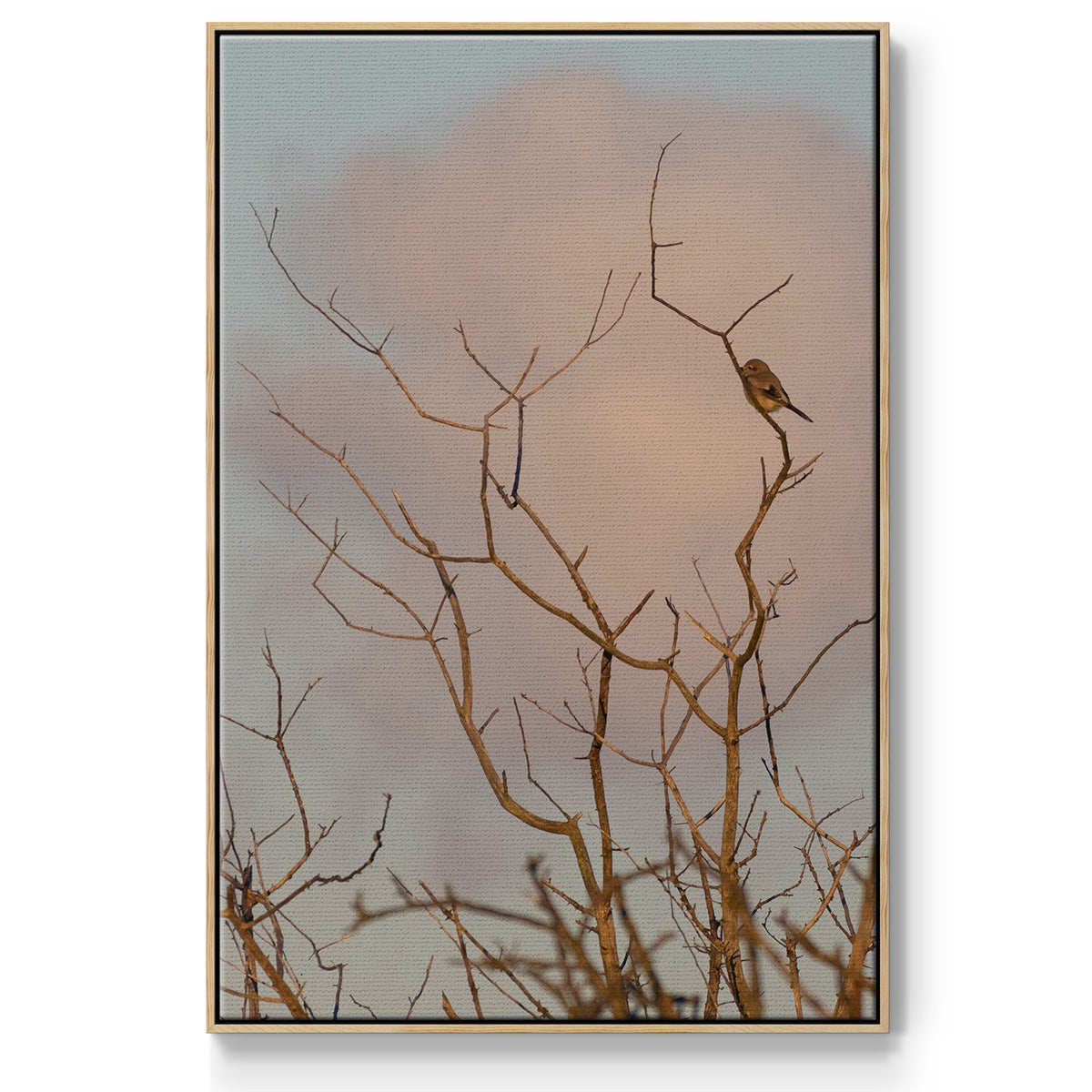 At Dawn - Floater Framed Canvas Print