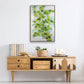 Ivy - Floater Framed Canvas Print