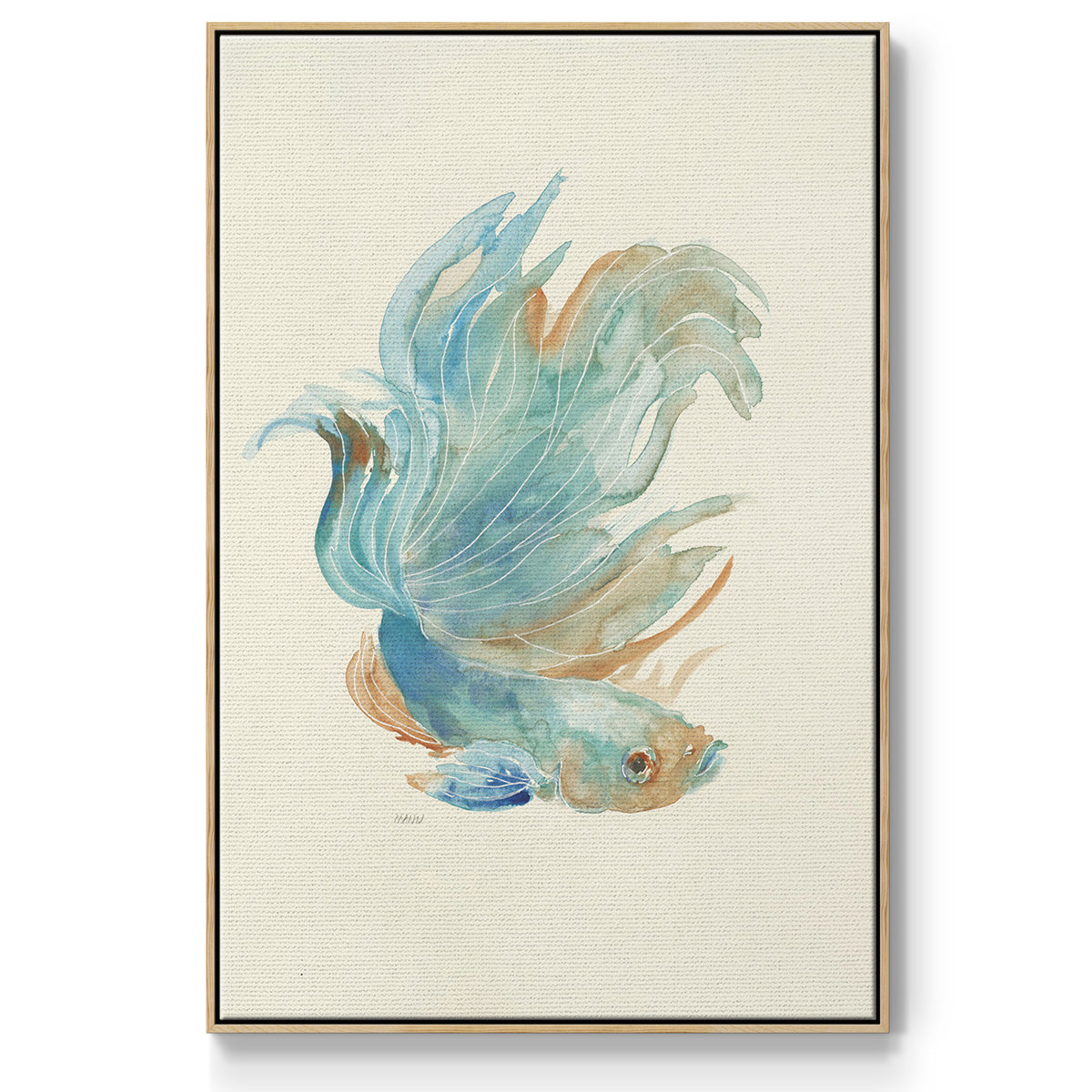 Betta I - Floater Framed Canvas Print