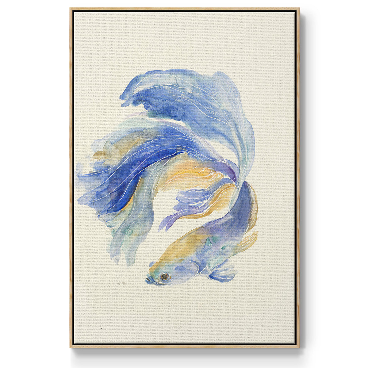 Betta II - Floater Framed Canvas Print