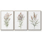 Dainty Botanical I - Floater Framed Canvas Set