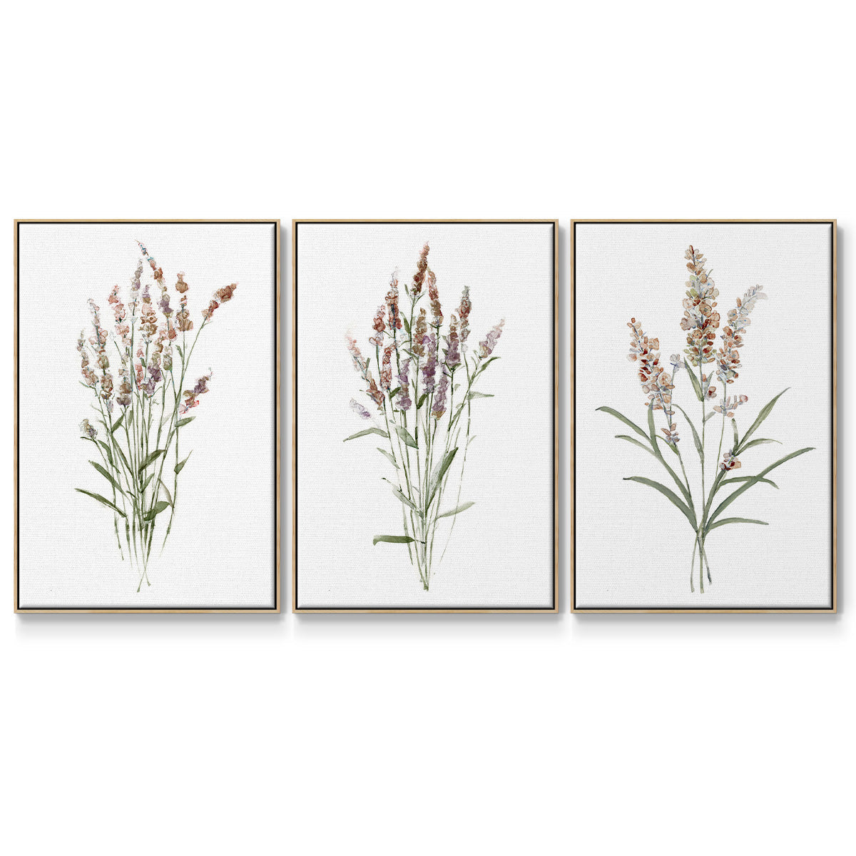 Dainty Botanical I - Floater Framed Canvas Set