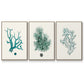 Antique Coastal Coral IV - Floater Framed Canvas Set