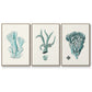 Antique Coastal Coral X - Floater Framed Canvas Set
