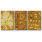 Turmeric Sunrise I - Floater Framed Canvas Set