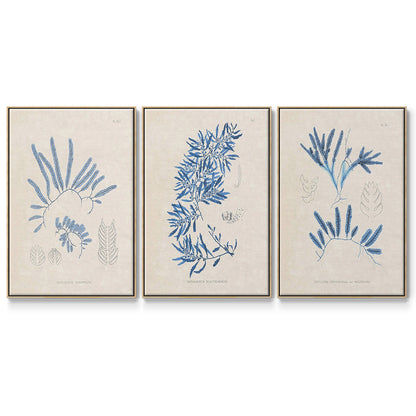 Blue Marine Algae I - Floater Framed Canvas Set