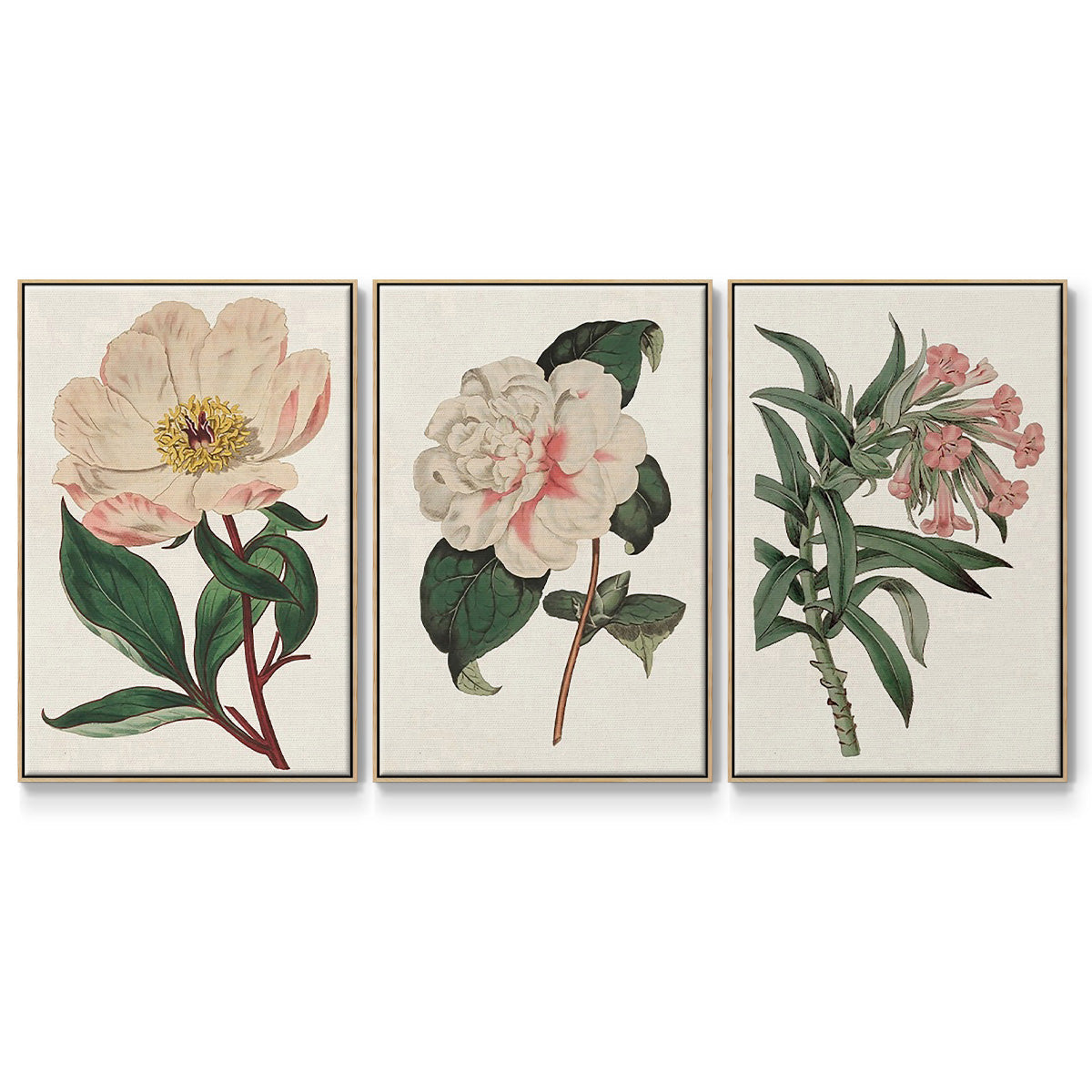 Pink Floral Mix VI - Floater Framed Canvas Set