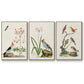 Antique Birds in Nature IV - Floater Framed Canvas Set