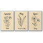 Birth Month IV - Floater Framed Canvas Set