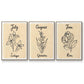 Birth Month VI - Floater Framed Canvas Set