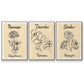 Birth Month X - Floater Framed Canvas Set
