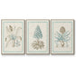 Willow Blue Besler IV - Floater Framed Canvas Set