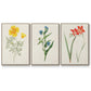 Flowers of the Seasons IV - Floater Framed Canvas Set