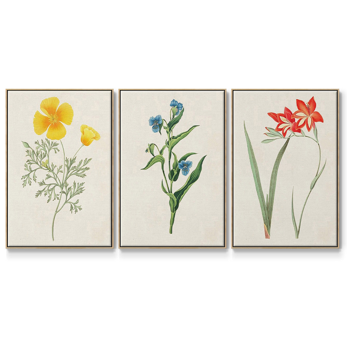 Flowers of the Seasons IV - Floater Framed Canvas Set