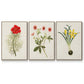 Flowers of the Seasons VI - Floater Framed Canvas Set