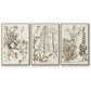 Sepia Botanical Journal IV - Floater Framed Canvas Set