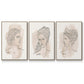 Greek Busts IV - Floater Framed Canvas Set