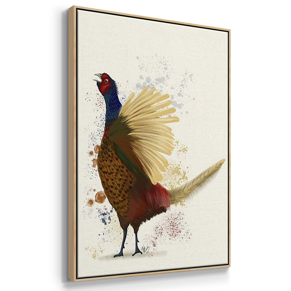 Pheasant Splash 3 - Floater Framed Canvas Set