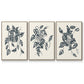 Growing Leaves IV - Floater Framed Canvas Set