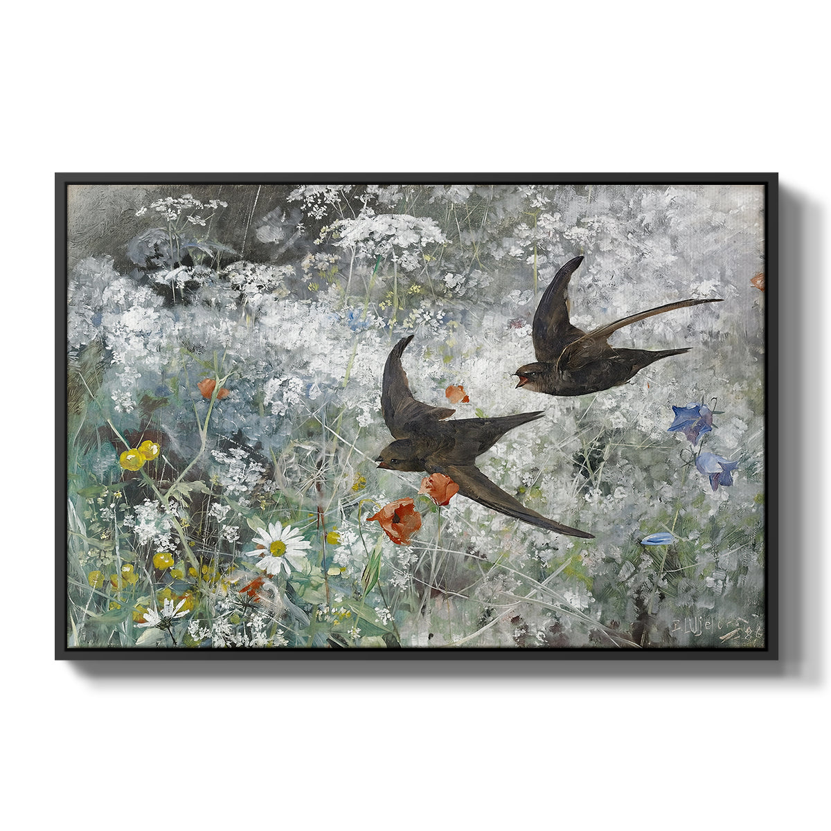 Common Swifts, 1886 by Bruno Liljefors in a black floater framed canvas wall art display.
