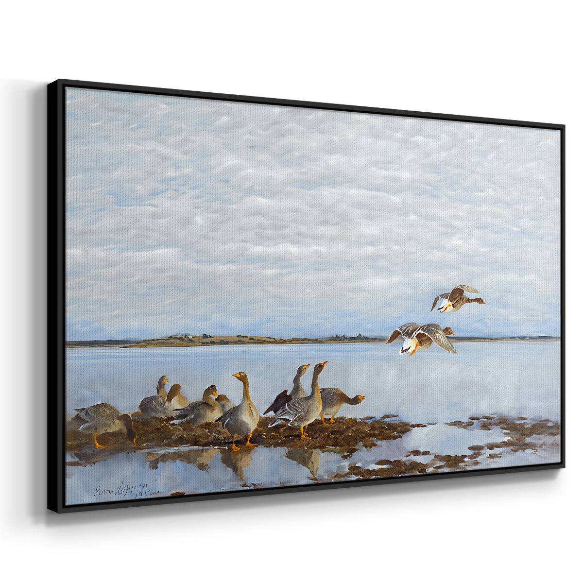 Angled view of Greylag Geese (Grågäss), 1922 by Bruno Liljefors in a black floater framed canvas.