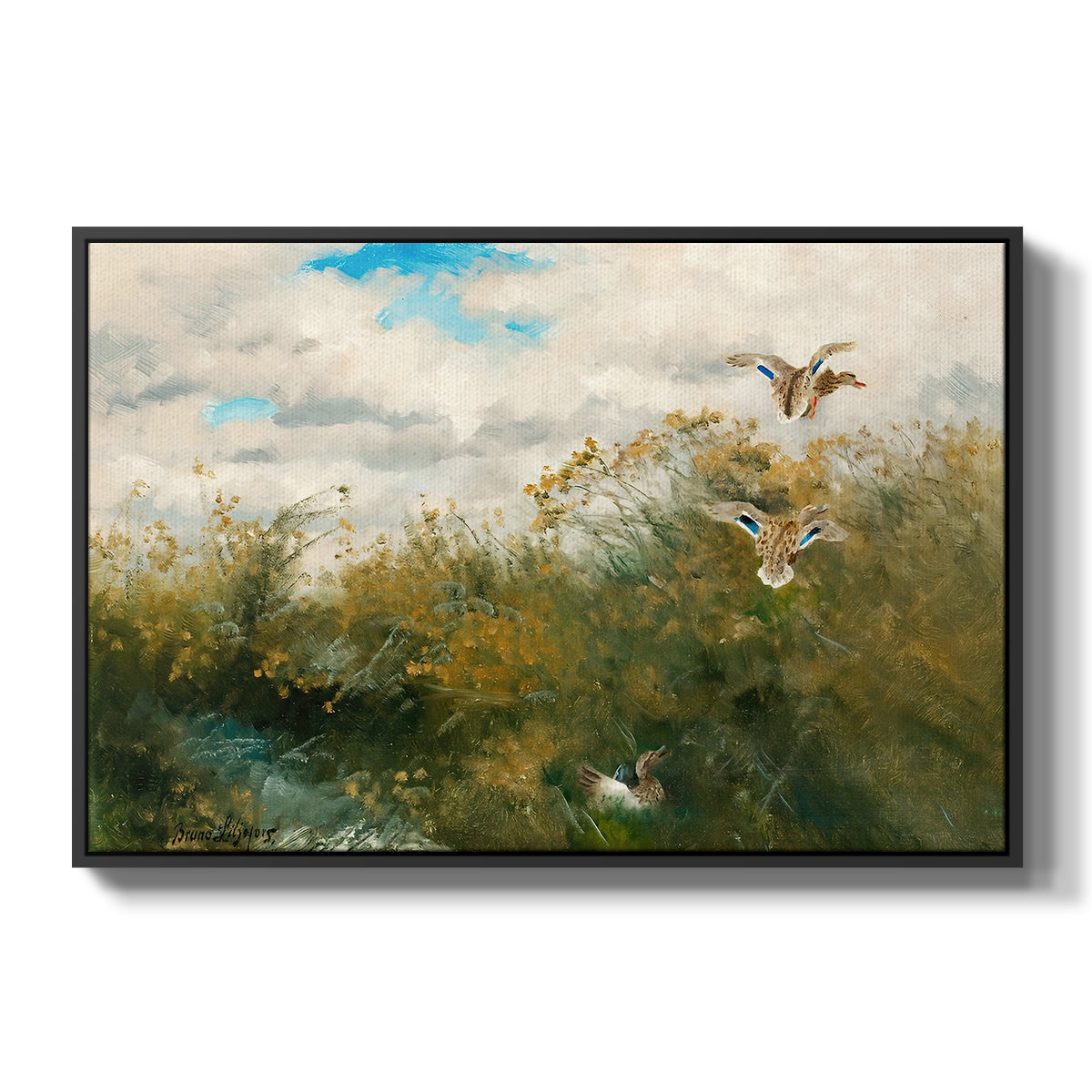 Wild Ducks (Grasänder), 1890 by Bruno Liljefors in a black floater framed canvas wall art display.