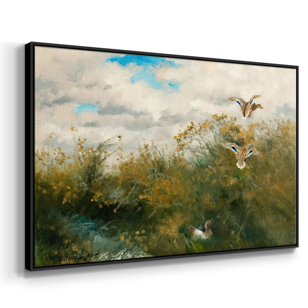 Angled view of Wild Ducks (Grasänder), 1890 by Bruno Liljefors in a black floater framed canvas.