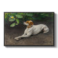 Portrait of a Dog, 1891 by Bruno Liljefors in a black floater framed canvas wall art display.
