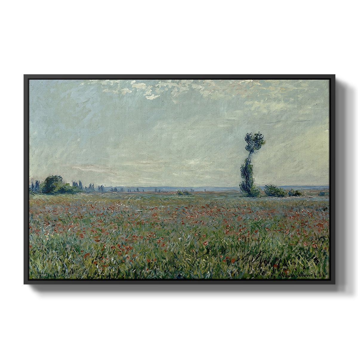 Poppy Field, 1881 by Claude Monet in a black floater framed canvas wall art display.