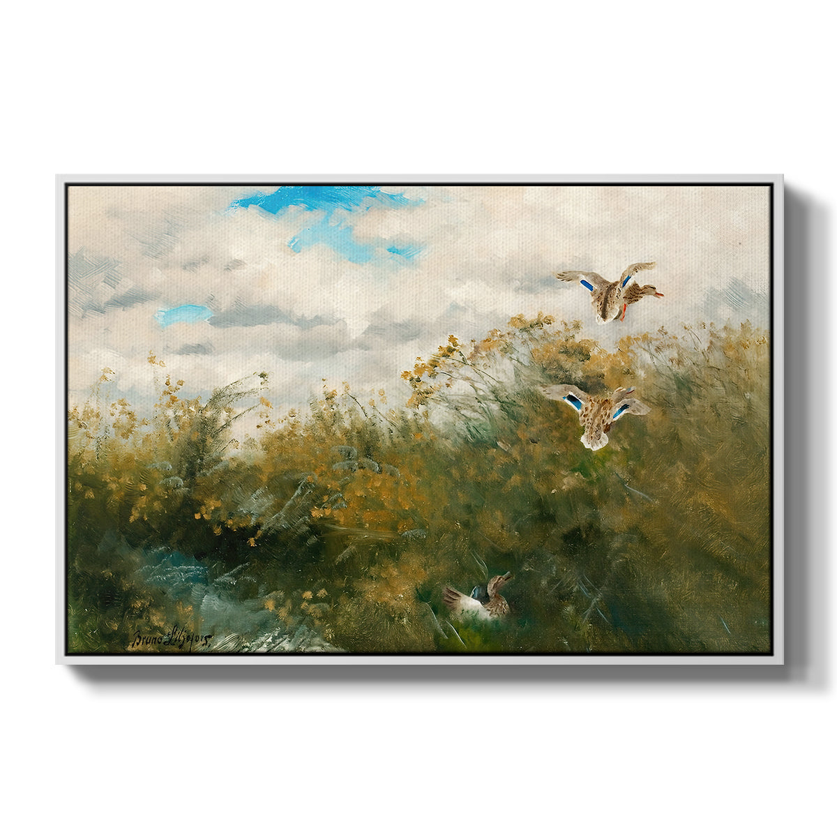 Wild Ducks (Grasänder), 1890 by Bruno Liljefors in a white floater framed canvas wall art display.