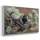 Angled view of Hooded Crows (Kråkor), 1891 by Bruno Liljefors in a white floater framed canvas.