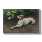 Portrait of a Dog, 1891 by Bruno Liljefors in a white floater framed canvas wall art display.