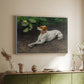 White floater framed canvas of Portrait of a Dog, 1891 by Bruno Liljefors, featuring a realistic portrait of a resting dog with attentive expression above a sideboard in a softly lit hallway.