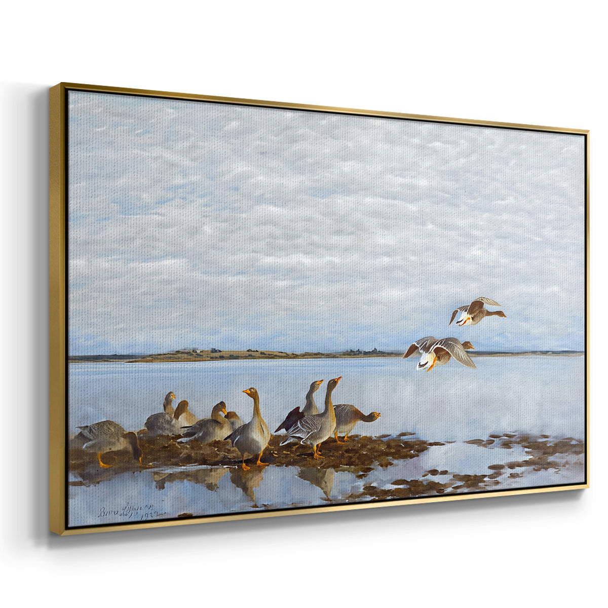 Angled view of Greylag Geese (Grågäss), 1922 by Bruno Liljefors in a gold floater framed canvas.