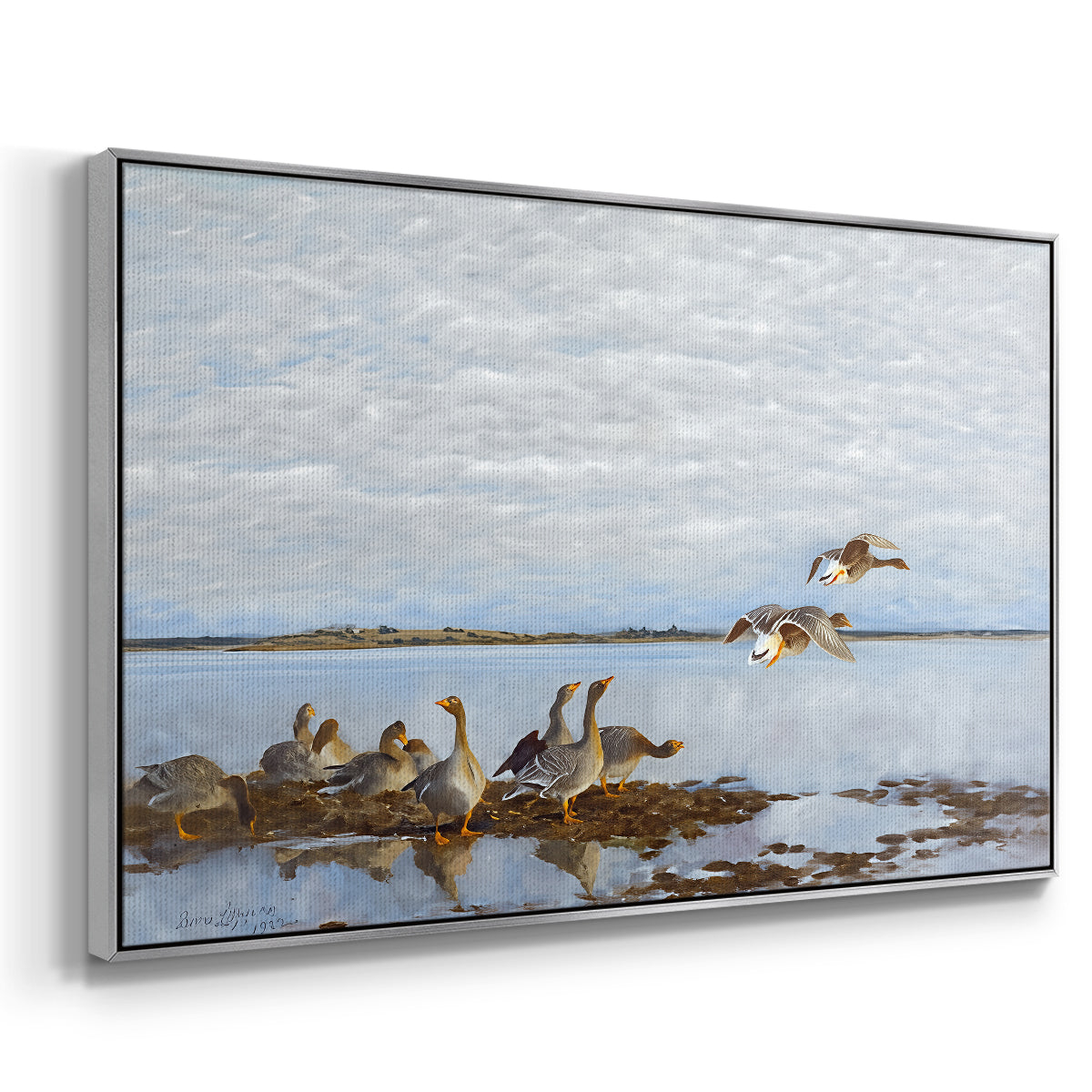 Angled view of Greylag Geese (Grågäss), 1922 by Bruno Liljefors in a silver floater framed canvas.