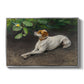 Portrait of a Dog, 1891 by Bruno Liljefors in a silver floater framed canvas wall art display.