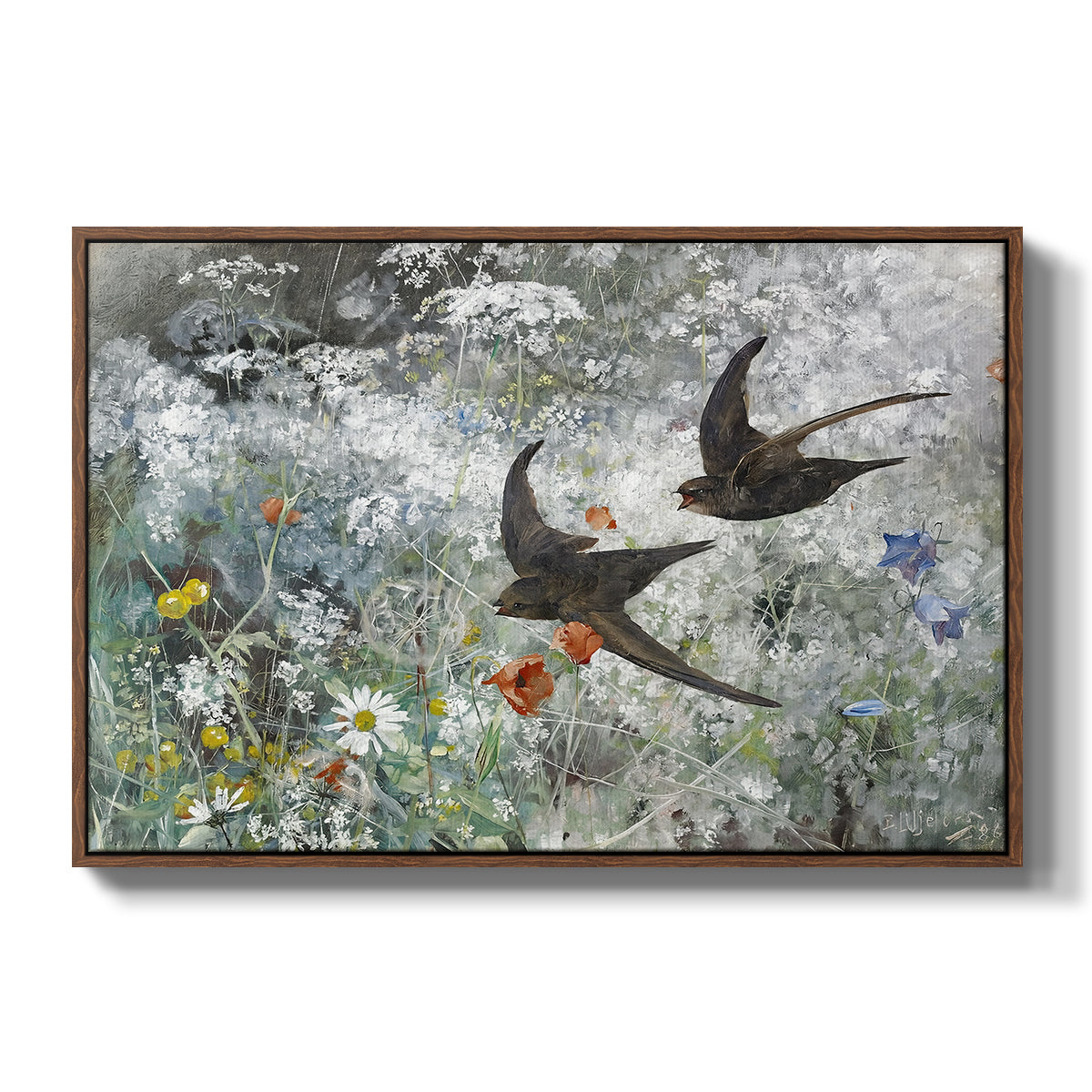 Common Swifts, 1886 by Bruno Liljefors in a walnut floater framed canvas wall art display.