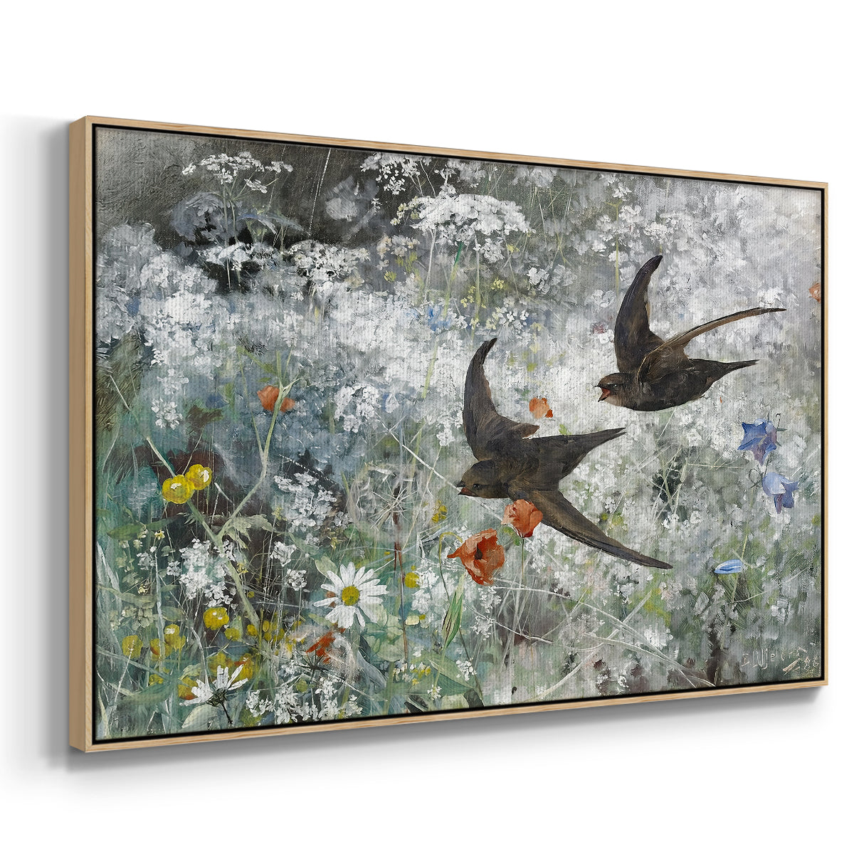 Angled view of Common Swifts, 1886 by Bruno Liljefors in a natural wood floater framed canvas.