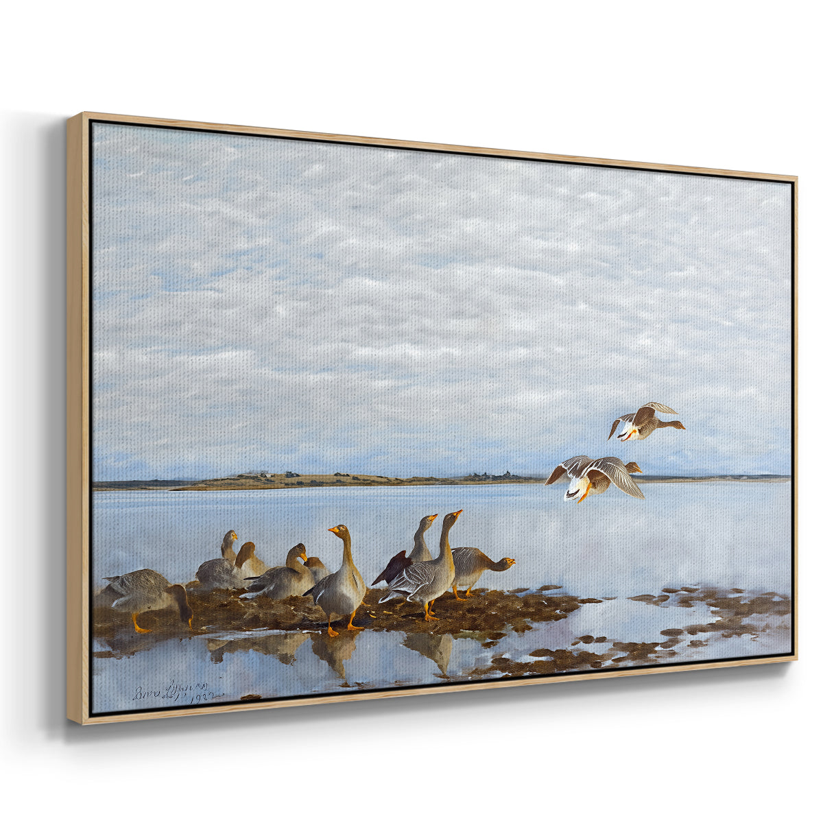 Angled view of Greylag Geese (Grågäss), 1922 by Bruno Liljefors in a natural wood floater framed canvas.