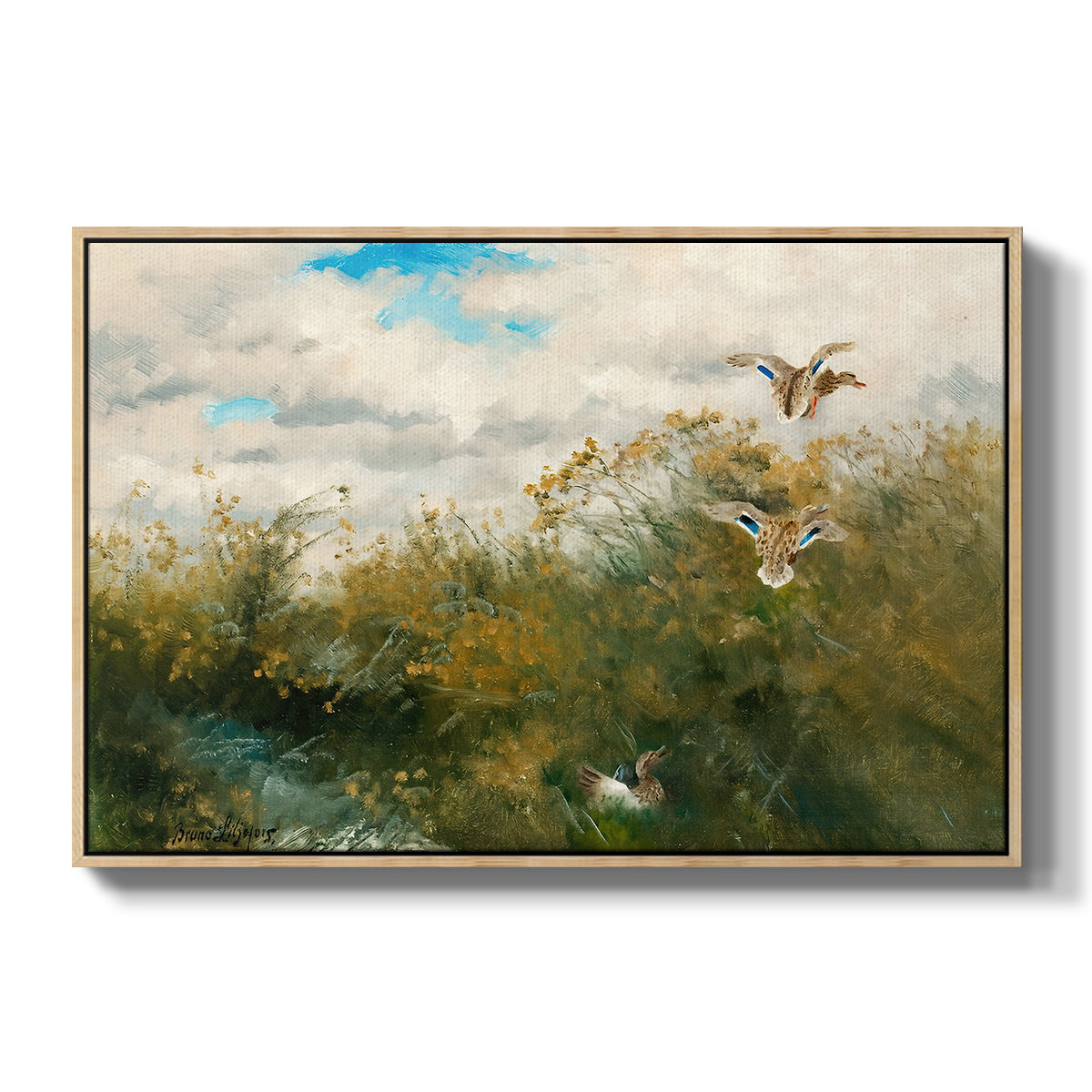 Wild Ducks (Grasänder), 1890 by Bruno Liljefors in a natural wood floater framed canvas wall art display.