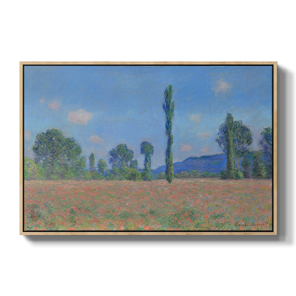 Poppy Field (Giverny), 1890-1891 by Claude Monet in a natural wood floater framed canvas wall art display.