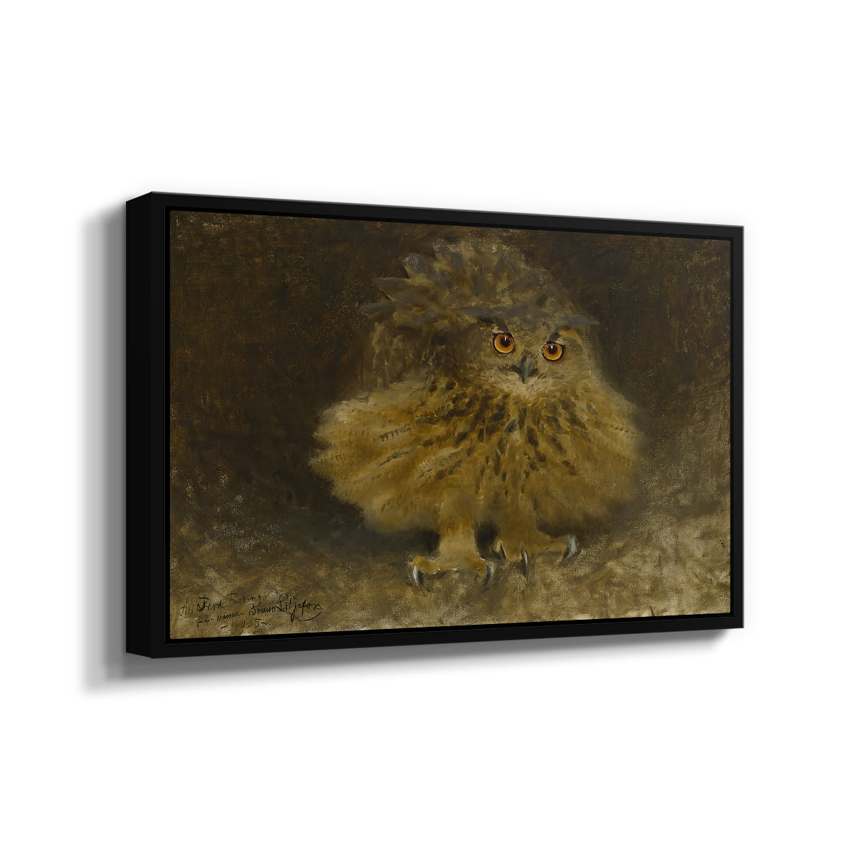 Angled view of An Eagle Owl (Berguv), 1905 by Bruno Liljefors in a black floater framed canvas.