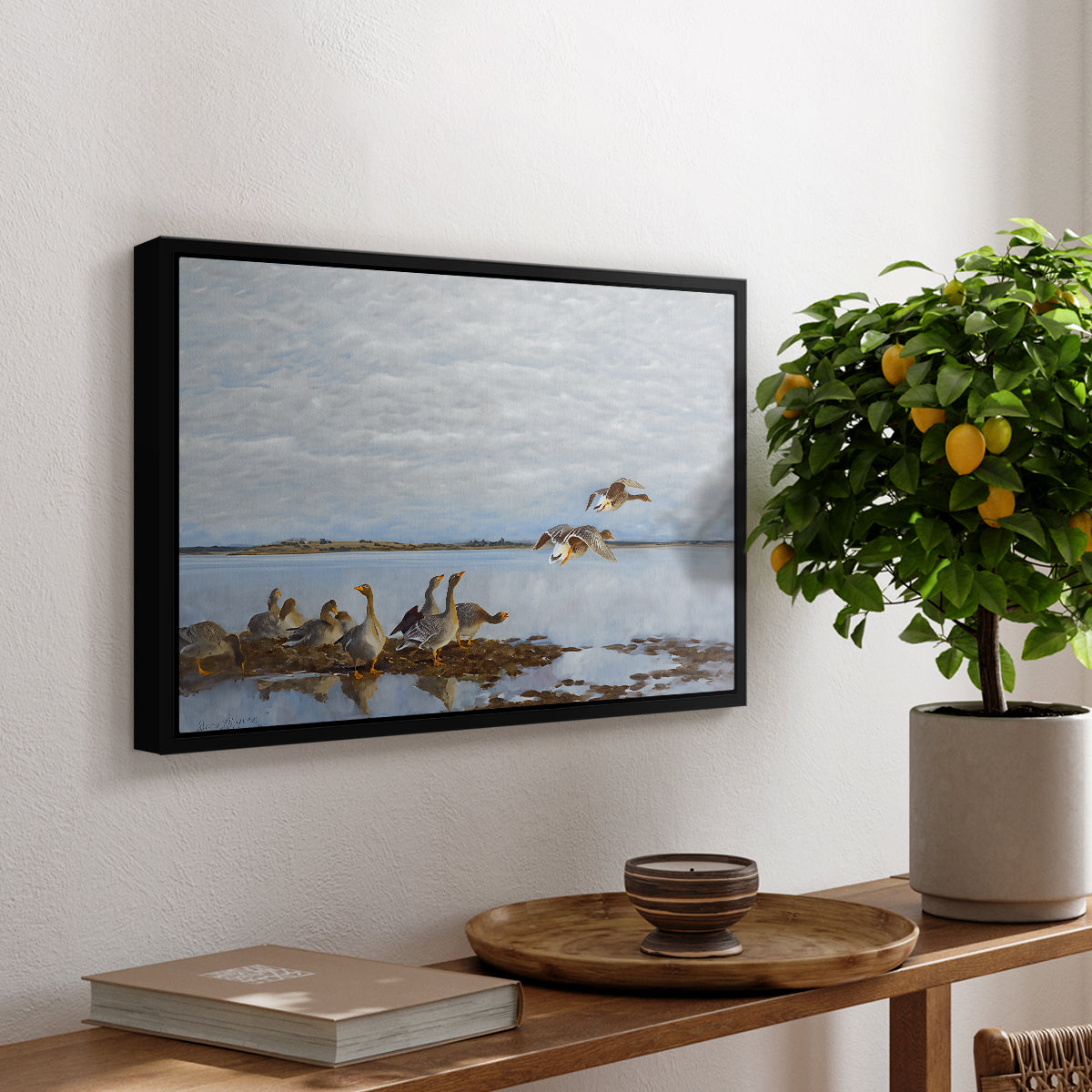 Greylag Geese (Grågäss), 1922 by Bruno Liljefors, presented in a black floater framed canvas featuring a group of geese gathered near water in a natural wetland landscape, displayed above a hallway console table.