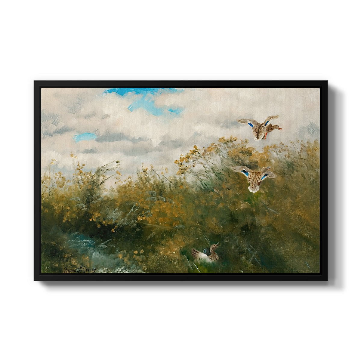 Wild Ducks (Grasänder), 1890 by Bruno Liljefors in a black floater framed canvas wall art display.