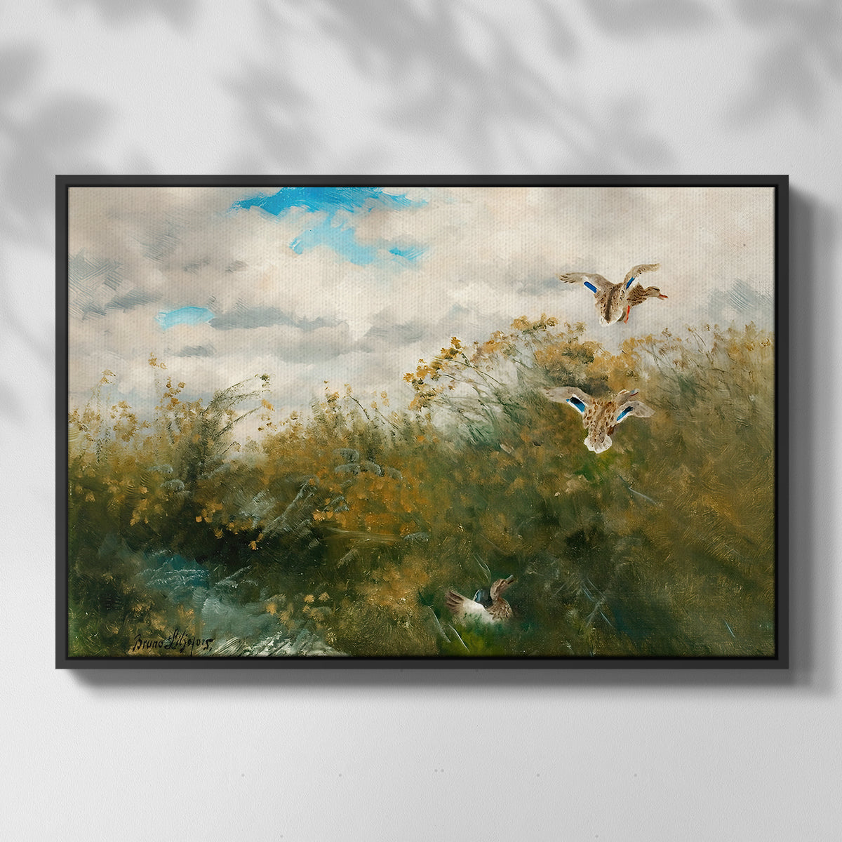 Front view of Wild Ducks (Grasänder), 1890 by Bruno Liljefors in a black floater framed canvas.