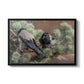 Hooded Crows (Kråkor), 1891 by Bruno Liljefors in a black floater framed canvas wall art display.