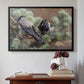 Black floater framed canvas featuring Hooded Crows (Kråkor), 1891 by Bruno Liljefors above an entryway table in a minimalist foyer.