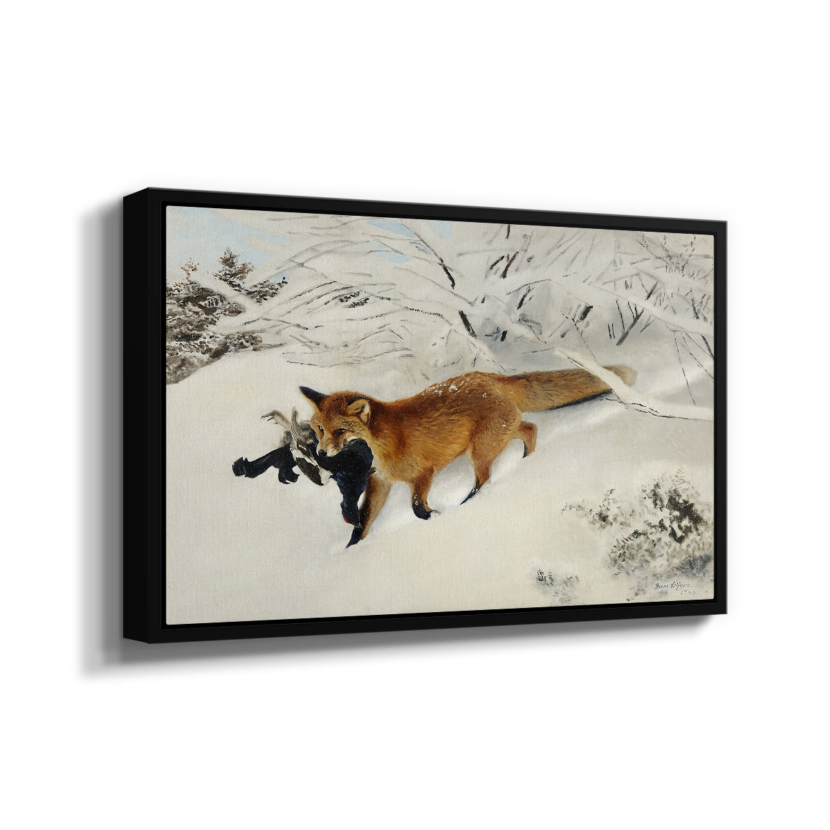 Angled view of Fox in Snow Landscape, 1900 by Bruno Liljefors in a black floater framed canvas.