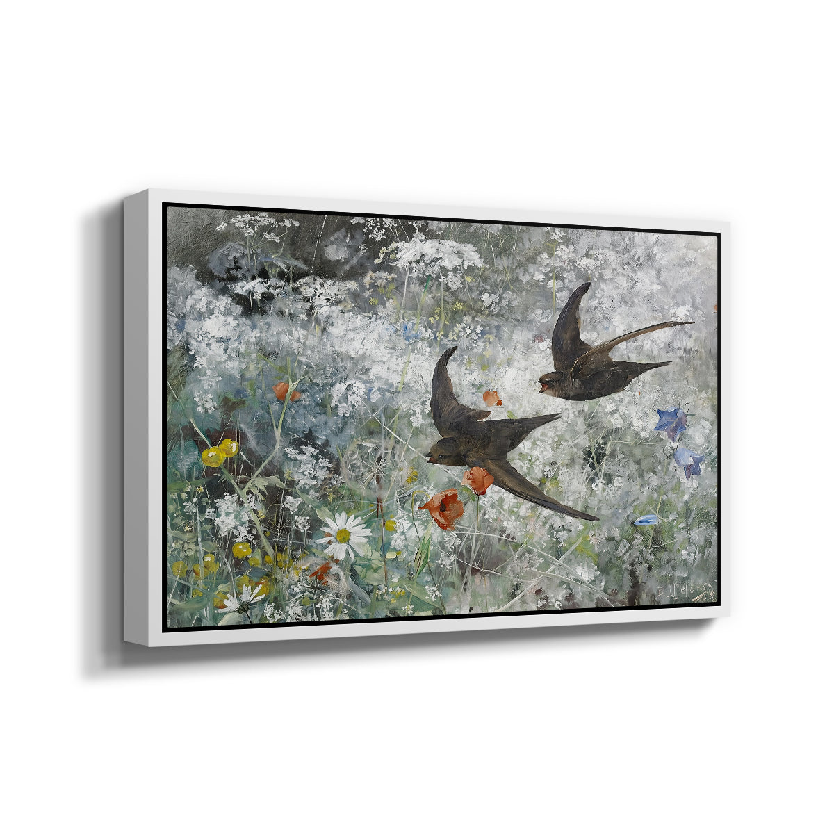 Angled view of Common Swifts, 1886 by Bruno Liljefors in a white floater framed canvas.
